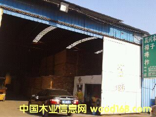 樺木的詳細介紹