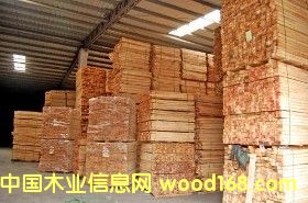 橡膠木的詳細(xì)介紹