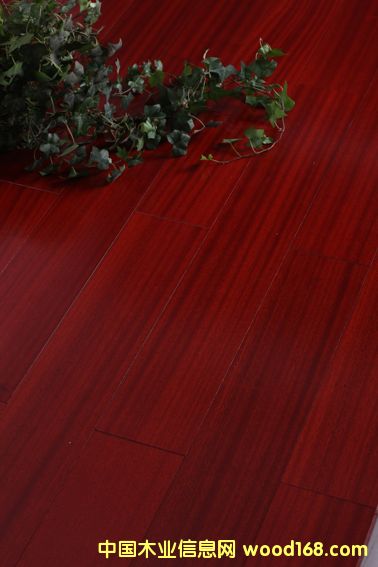 ·ƹ(yng)(yu)|(zh)ɳ(sh)ľ(f)ϵذԔ(x)B