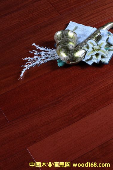 ·ƹ(yng)(yu)|(zh)֬ľ(sh)ľذ t̴(sh)ľ(f)ϵذԔ(x)B