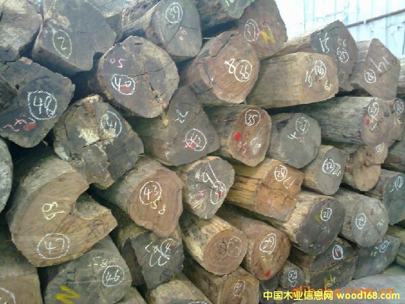 M(jn)ӡKľ/̴ԭľM(jn)ڈ(bo)P(gun)Ԕ(x)B