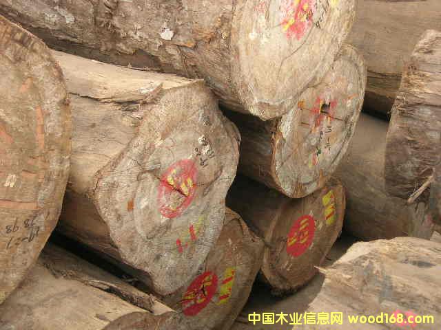 M(jn)ԽϾzľ/z/SоľM(jn)ڈ(bo)P(gun)Ԕ(x)B