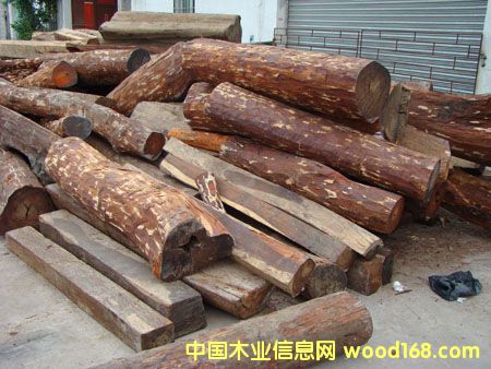 M(jn)ږ|ρR/˼ľacaciaԭľľM(jn)ڈ(bo)P(gun)Ԕ(x)B