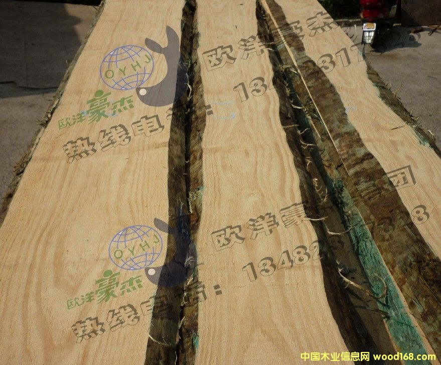 [] ݗȫo(ji) FSCC ٷְٟo(ji) ]{(ln)׃ A(j)ȫ