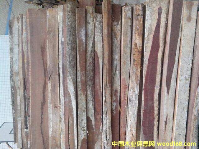 紅酸枝的詳細(xì)介紹