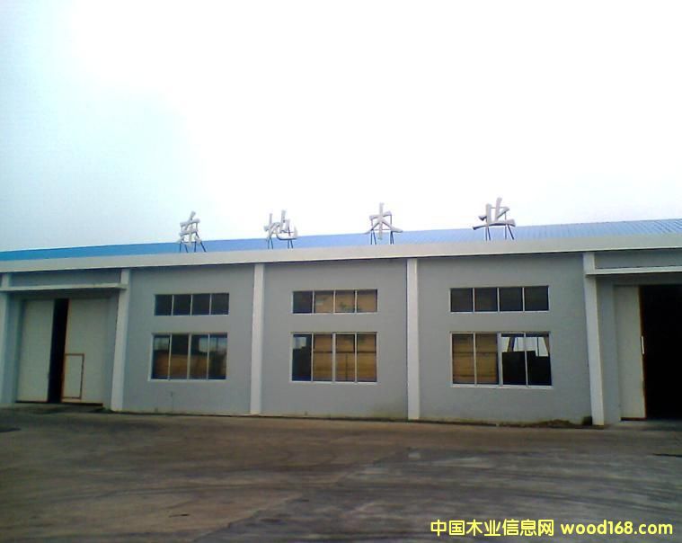 紅橡的詳細(xì)介紹