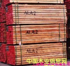 柳桉的詳細介紹