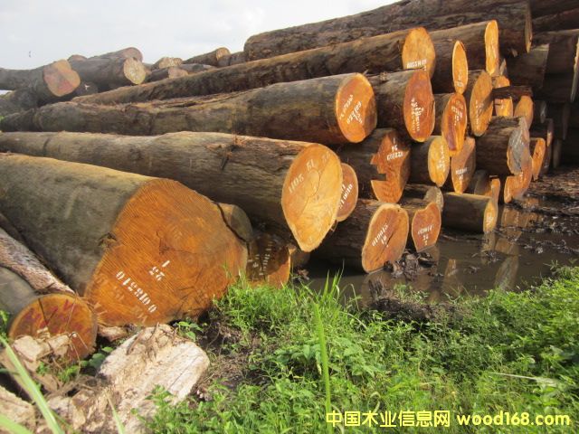 Bilinga ͵ľSđľ