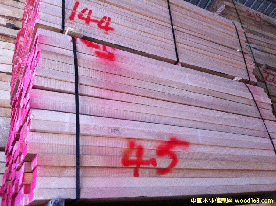 櫸木的詳細介紹