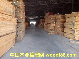 ݗɟo(w)(ji)ɰĵԔ(x)B