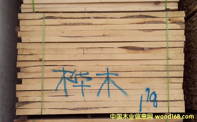 樺木的詳細(xì)介紹