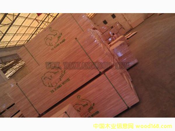 M(jn)̩zľָӰԔ(x)B