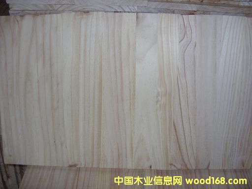 輻射松的詳細介紹