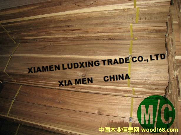 ˼ľذ~˼ľacacia