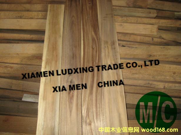 ˼ľ˼ľذacacia5