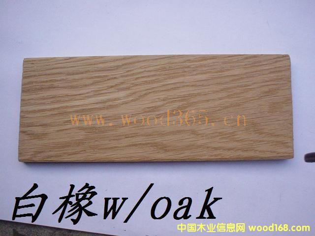 白橡木的詳細介紹