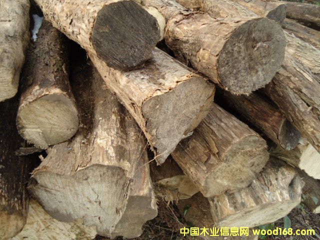 黃檀木的詳細(xì)介紹