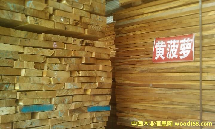 黃菠蘿的詳細介紹