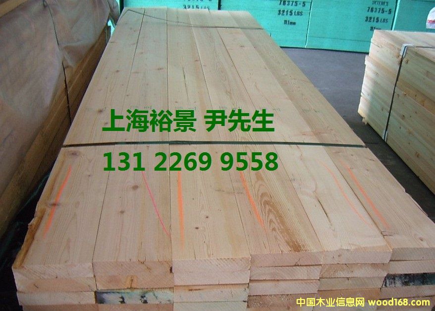 花旗松的詳細(xì)介紹