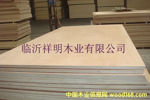 [] zϰ12bбP(pn)Ҿ߰