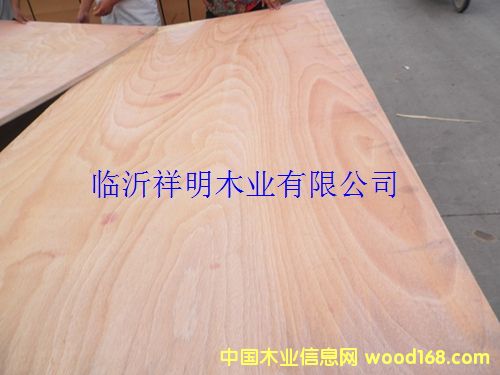 [] zϰ12bбP(pn)Ҿ߰