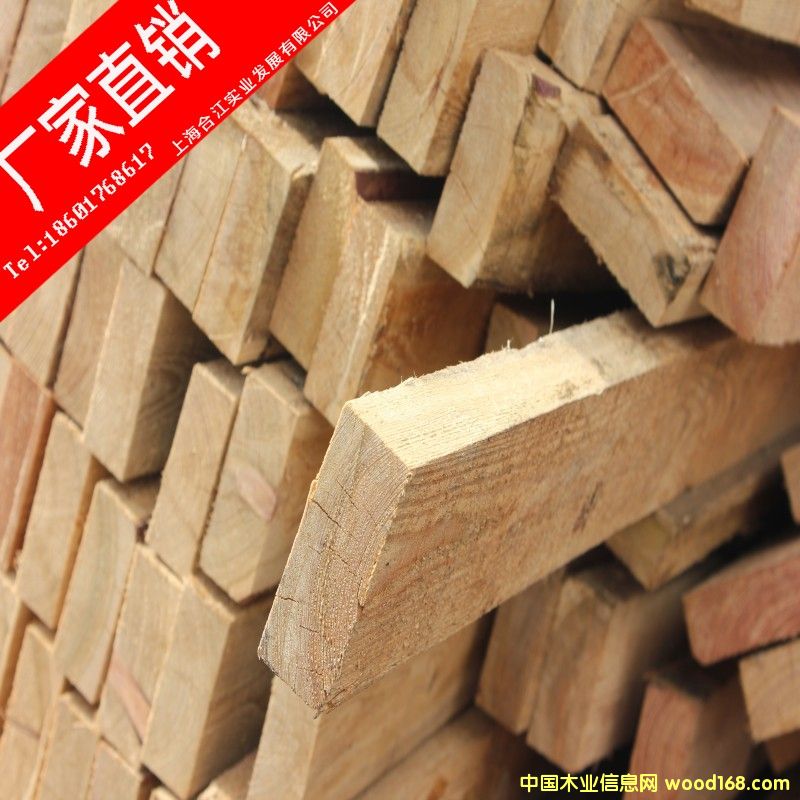 落葉松的詳細介紹