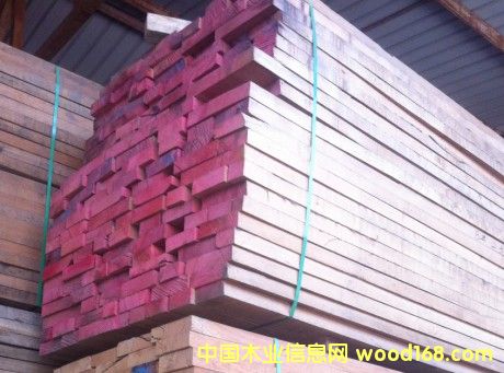 漆木的詳細(xì)介紹