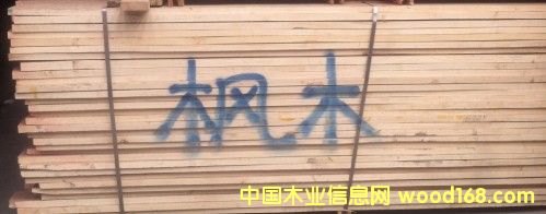 楓木的詳細(xì)介紹