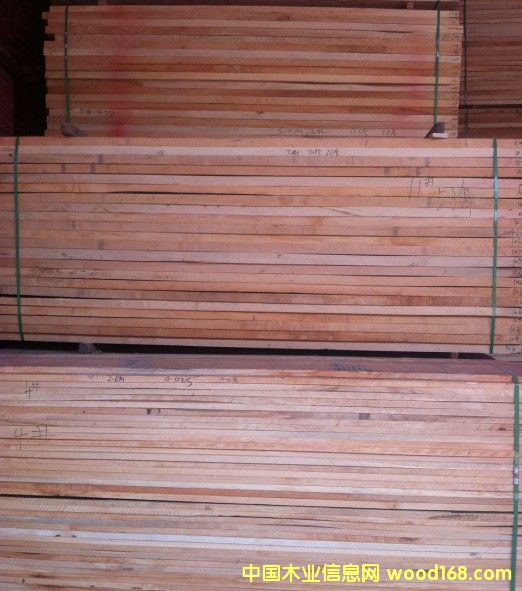 欖仁木的詳細(xì)介紹