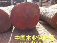 Kľ|u|Ƥɽ|ľ|S|M(jn)P(gun)