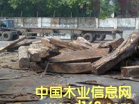 s|ӗľ|F|S|M(jn)P(gun)