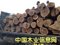 p궹|LKľ|灆ǿ|S|M(jn)P(gun)