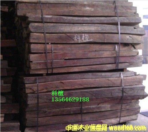 非洲科檀的詳細(xì)介紹