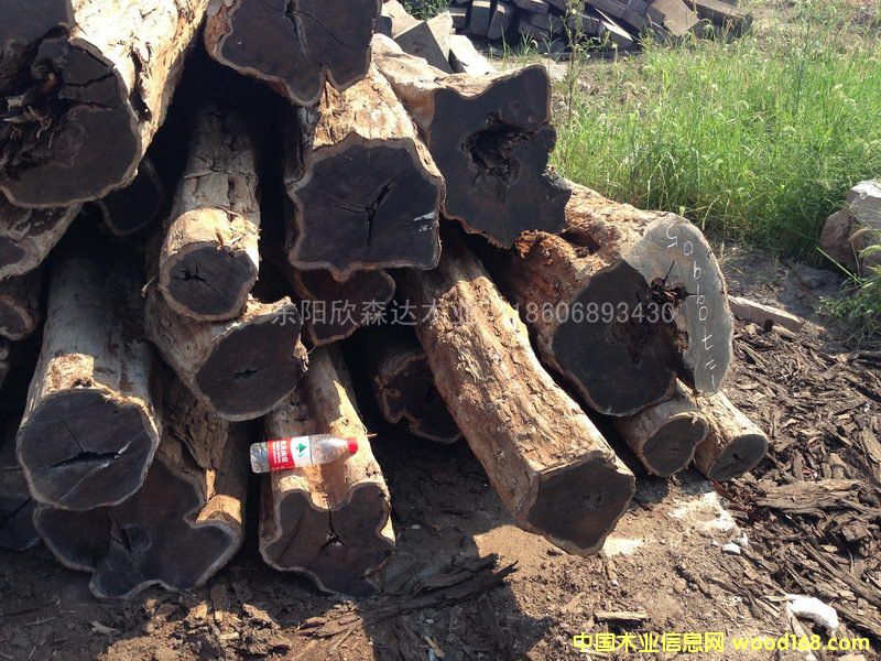 Ϲ̴(|ǺS̴)1309-3Ԕ(x)B