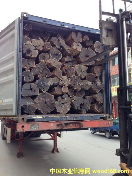 Ϲ̴(|ǺS̴)1309-7Ԕ(x)B