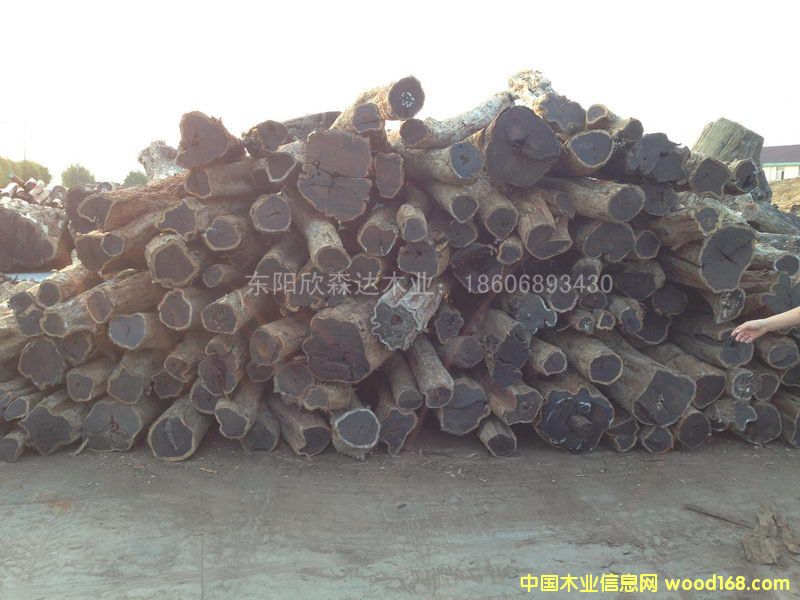 Ϲ̴(|ǺS̴)1309-6Ԕ(x)B