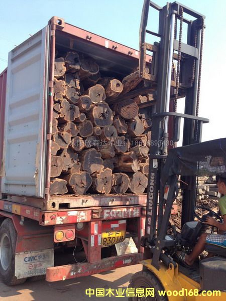 Ϲ̴(|ǺS̴)1309-5Ԕ(x)B