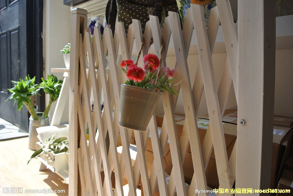 (yng)o(h)ľřڡڵԔ(x)B