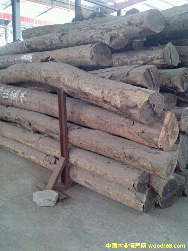 金絲楠木的詳細(xì)介紹