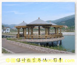 ϺɽľY(ji)(gu)޹˾-ݷֹ˾