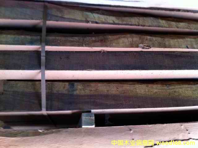 非洲酸枝的詳細(xì)介紹