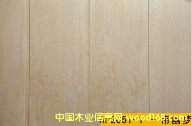 2051-1 һĉ ƽDԔ(x)B