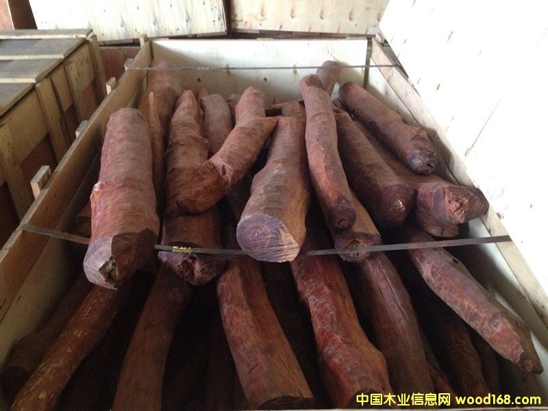 血龍木的詳細(xì)介紹