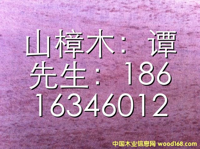 山樟木的詳細介紹