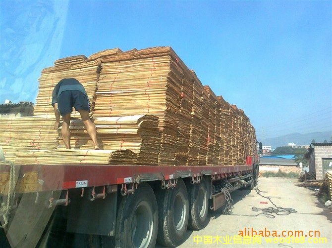 一級板的詳細介紹