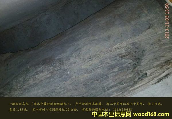 c(din)鿴ľzľԭľŴDƬ