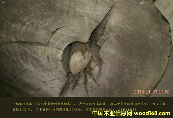 c(din)鿴ľzľԭľŴDƬ