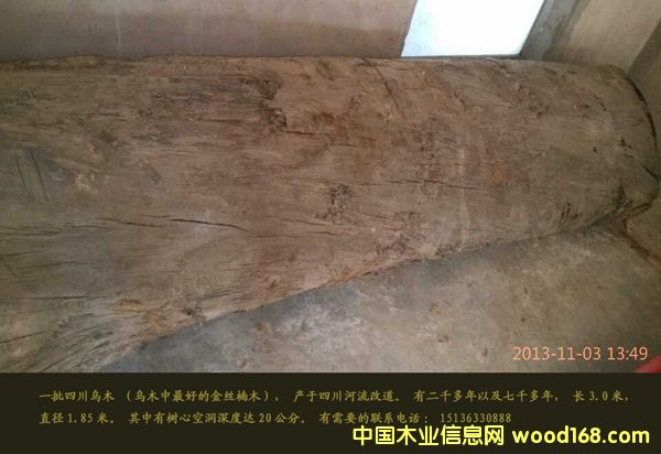 c(din)鿴ľzľԭľŴDƬ