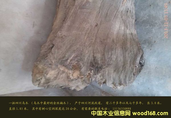 c(din)鿴ľzľԭľŴDƬ