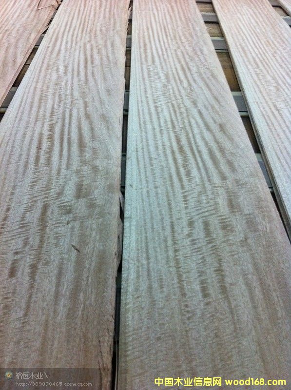 鐵椿影的詳細(xì)介紹